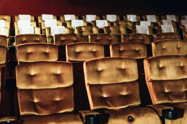 극장에 있는 노란 의자들 — 스톡 사진