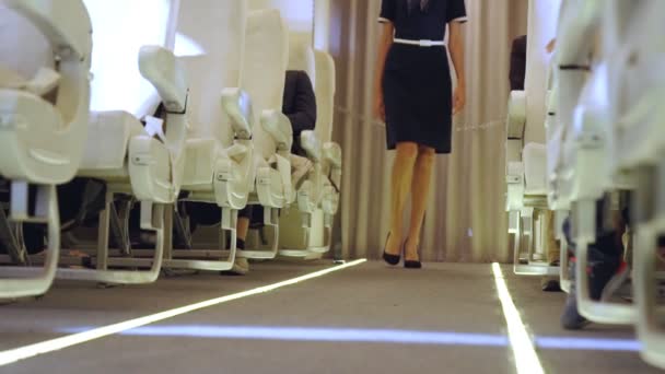 Cabin crew walking in airplane during a night flight — Stock Video