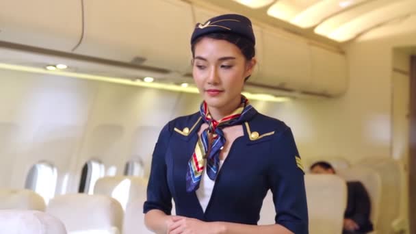 Palubní průvodčí nebo letuška pracující v letadle — Stock video