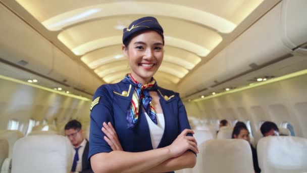Cabin crew or air hostess working in airplane — Stock Video