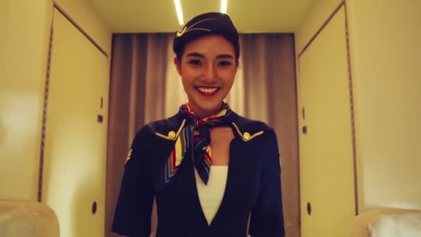 Equipaggio di cabina o hostess di volo che lavora in aereo — Video Stock