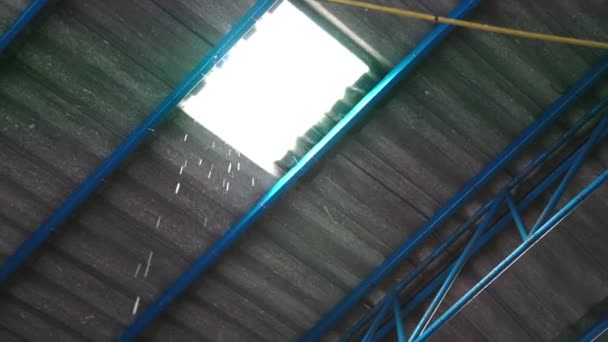 Капля дождевой воды от утечки поврежденной крыши завода — стоковое видео