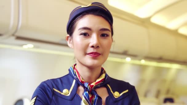 Cabin crew or air hostess working in airplane — Stock Video