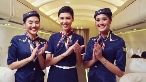 Cabin crew clapping hands in airplane — Stock Video