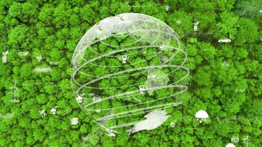 Gelecekteki çevresel koruma ve sürdürülebilir ESG modernizat