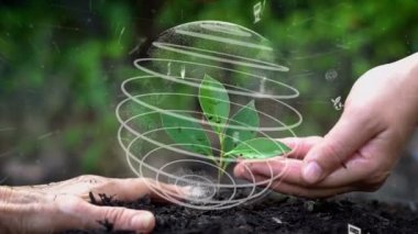 Gelecekteki çevresel koruma ve sürdürülebilir ESG modernizasyon gelişimi