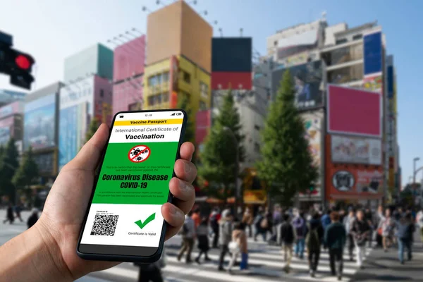 Gezgin COVID 19 aşı durumunu göstermek için aşı pasaport sertifikasına sahip.