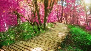 Hırvatistan 'ın Plitvice Gölü' ndeki ahşap patika videosu fantezi yeşillik rengi