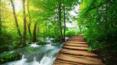 Hırvatistan 'ın Plitvice Gölü' nde sonbahar ahşap yolunun kusursuz döngü sineması videosu