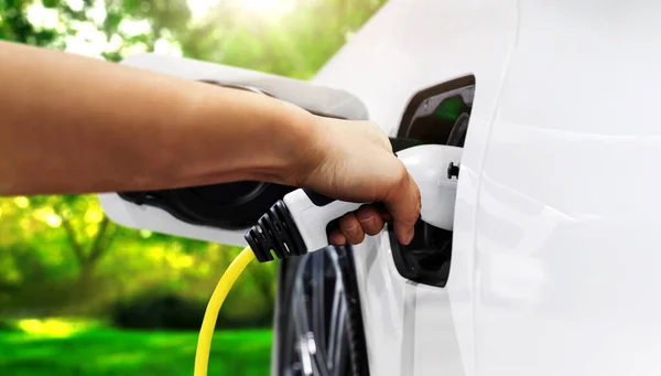 Stazione di ricarica EV per auto elettriche in concetto di energia verde ed eco potenza — Foto Stock