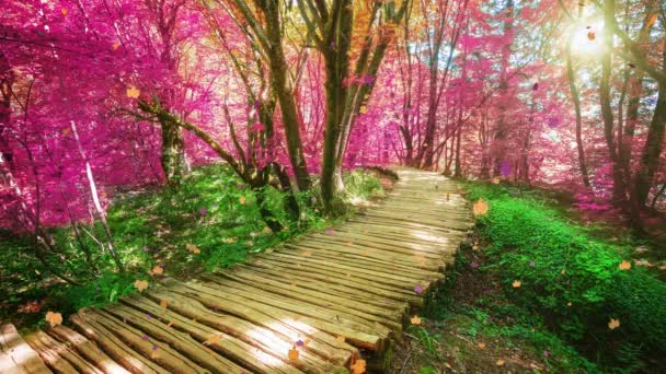 Loop Cinemagraph vídeo of autumn wooden path in Plitvice Lake, Croácia — Vídeo de Stock