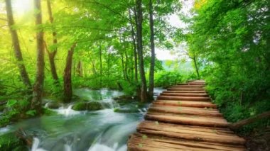 Hırvatistan 'ın Plitvice Gölü' ndeki ilkbahar ahşap yolunun sinemadaki videosu
