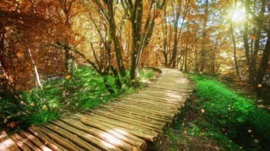 Hırvatistan 'ın Plitvice Gölü' nde sonbahar ahşap yolunun kusursuz döngü sineması videosu