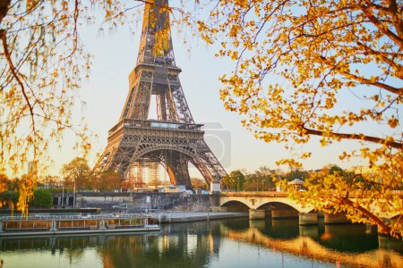 Vue panoramique sur la tour Eiffel et le pont d'Iena sur la Seine avec des branches d'arbres aux premières feuilles tôt le matin. Printemps à Paris, France