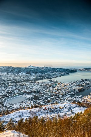 vista de invierno en Bergen
vista de invierno en Bergen
