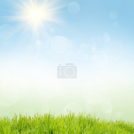 Fondo de naturaleza verde en verano
