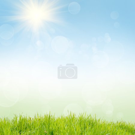 Green nature background at summer