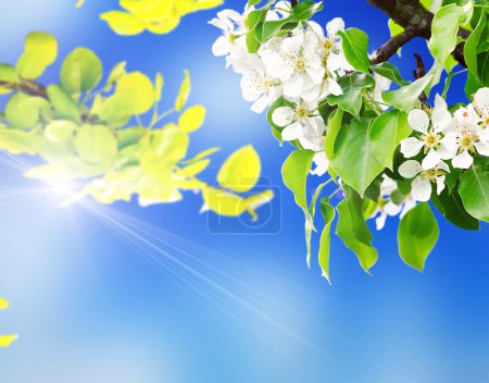 árbol con hojas verdes frescas
