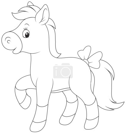 Pony.
