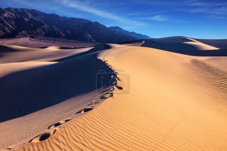 Foto de A lo largo del borde de las dunas de arena hay una cadena de pistas profundas - Imagen libre de derechos