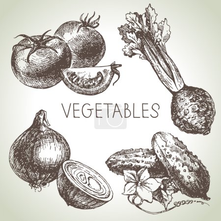 Dibujo dibujado a mano verduras conjunto
. Dibujo dibujado a mano verduras conjunto
.