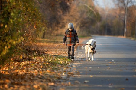 Foto de Niño pequeño caminando con un golden retriever en el parque de otoño - Imagen libre de derechos