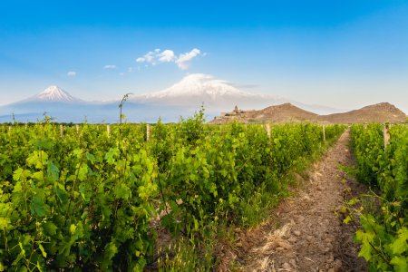 khor virap und Mount ararat