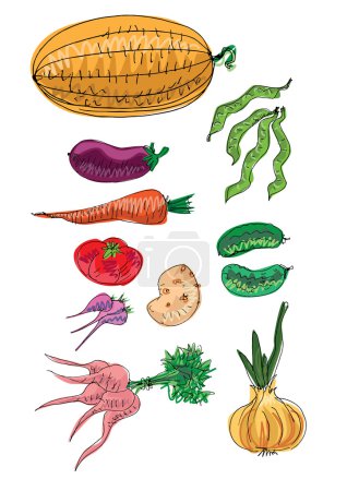 Ilustración de Conjunto de iconos de verduras, vector - Imagen libre de derechos