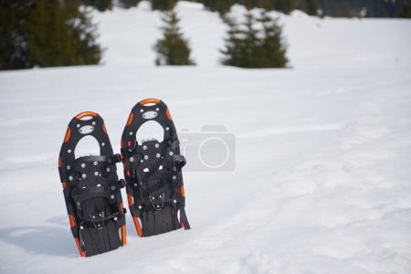 raquetas de nieve en espectáculo fresco
