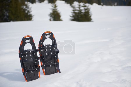 Photo for Snowshoes in fresh show on beautiful winter sunny day - Royalty Free Image