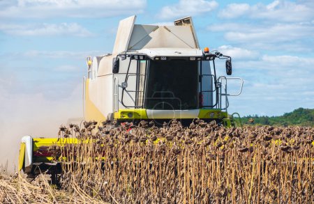 Téléchargez les photos : Combiner dans un champ par une journée ensoleillée à faucher du tournesol mûr et sec. Récolte d'automne
. - en image libre de droit