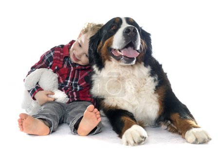 pequeño niño y perro
