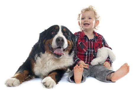 Foto de Pequeño niño y perro delante de fondo blanco - Imagen libre de derechos