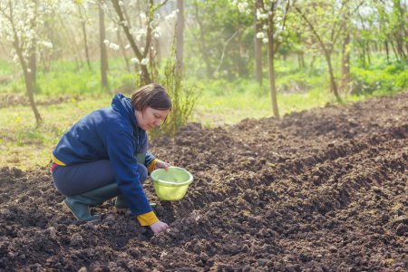 Mujer sembrando cebollas en huerta ecológica
