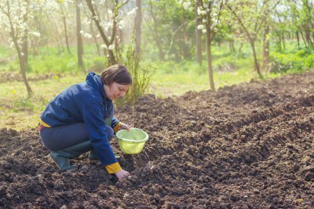 Femme semant des oignons dans un potager bio
