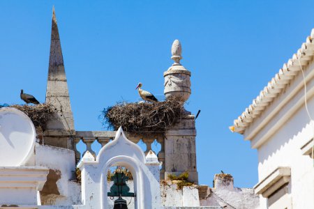 Storks nesting on roof of church