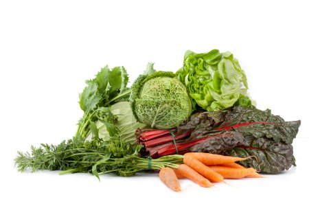 Téléchargez les photos : Mélange de légumes frais : laitue, chou, brocoli, blette rouge et carottes, isolé sur fond blanc
. - en image libre de droit