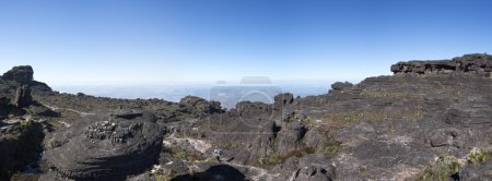 Foto de Paisaje en la cima del Monte Roraima por la mañana con cielo azul. Caminante irreconocible caminando a través de las piedras volcánicas negras y plantas endémicas. La abuela Sabana. Venezuela 2015
. - Imagen libre de derechos