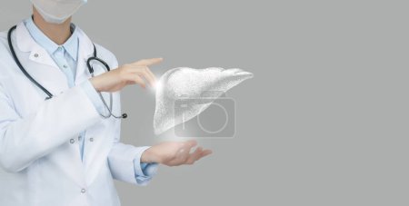 Female doctor holding virtual volumetric drawing of Liver in hand. Handrawn human organ, copy space on right side, raw photo colors. Healthcare hospital service concept stock photo