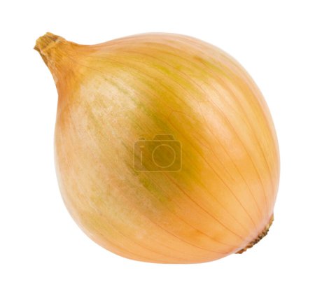 Onions isolated on a white background. Healthy food.  Detail for design. Design elements. Macro. Background for business cards, postcards and posters. 