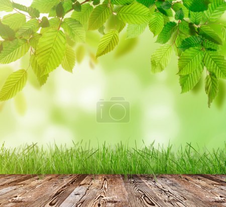 Photo for Wooden table with green grass, spring background. - Royalty Free Image