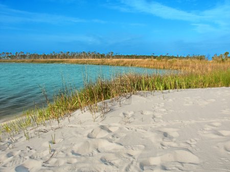 Laguna de Horn Island Mississippi
