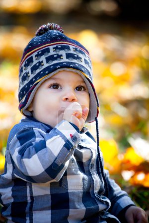 Niño de 8 meses en el otoño
