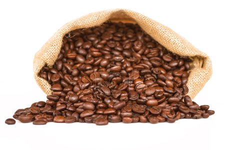 Bolsa de café - granos de café en lienzo saco de café aislado sobre fondo blanco
Bolsa de café - granos de café en lienzo saco de café aislado sobre fondo blanco