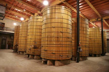 Winery. Liquor Distillery.  Old barrels in the wine cellar. Wine cellar with old oak barrels, production of fortified dry or semi-sweet wine. The wine barrels are stored in the old cellar of the winery. Brewery, winery