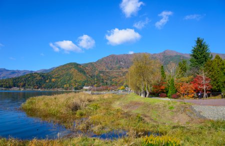 Hojas de otoño a lo largo del lago Kawaguchi
