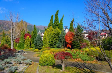 Hojas de otoño a lo largo del lago Kawaguchi
