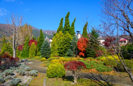 Feuilles d'automne le long du lac Kawaguchi
