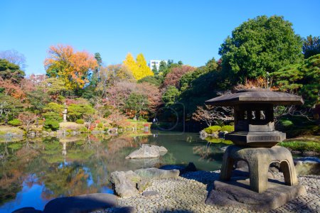 Follaje otoñal en los Jardines Kyu-Furukawa, Tokio
