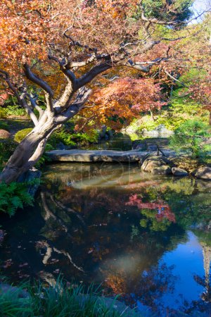 Herbstlaub in den kyu-furukawa Gärten, Tokio